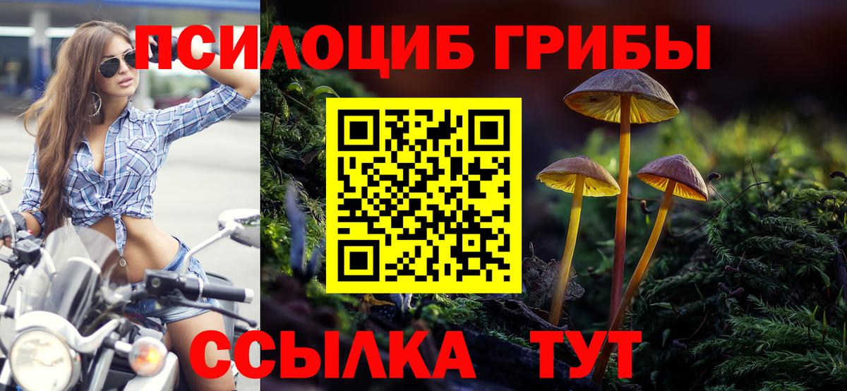 Псилоцибиновые грибы мухоморы  Псилоцибиновые грибы Magic Shrooms  Вход с VPN  Балашов 