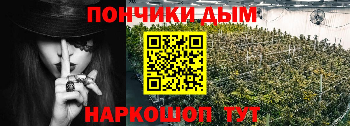 Конопля MAZAR  Шишки марихуана SATIVA & INDICA  Балашов  МАРИХУАНА ГИДРОПОН  Бошки Шишки Bruce Banner  Вход с VPN 